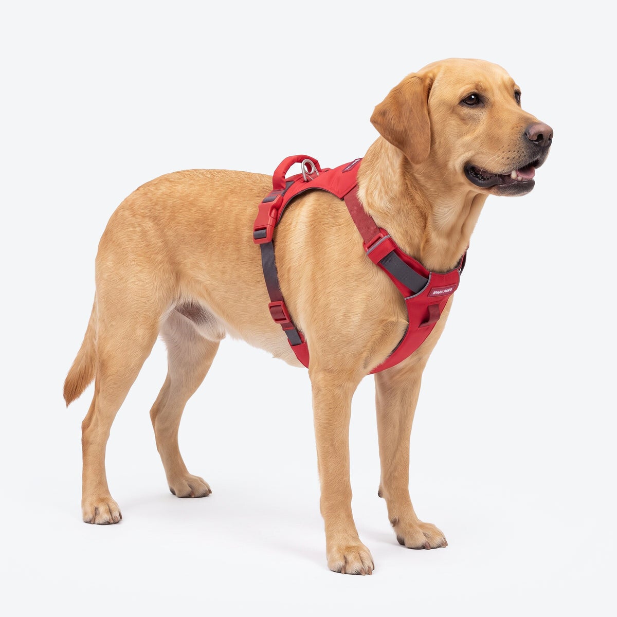 AeroThin everyday harness - Red