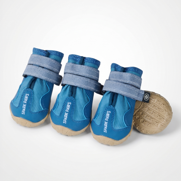 Spark Paws 365 – De Allseizoen Hondenschoen - Blauw