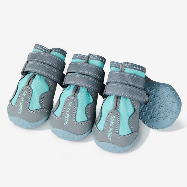 Spark Paws 365 – De Allseizoen Hondenschoen - Groenblauw