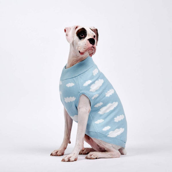 Clouds Knit Dog Sweater Blue or Lila Final Sale