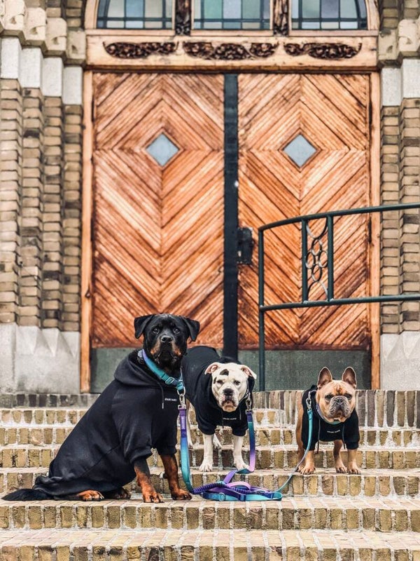 Essential Dog Hoodie - Zwart