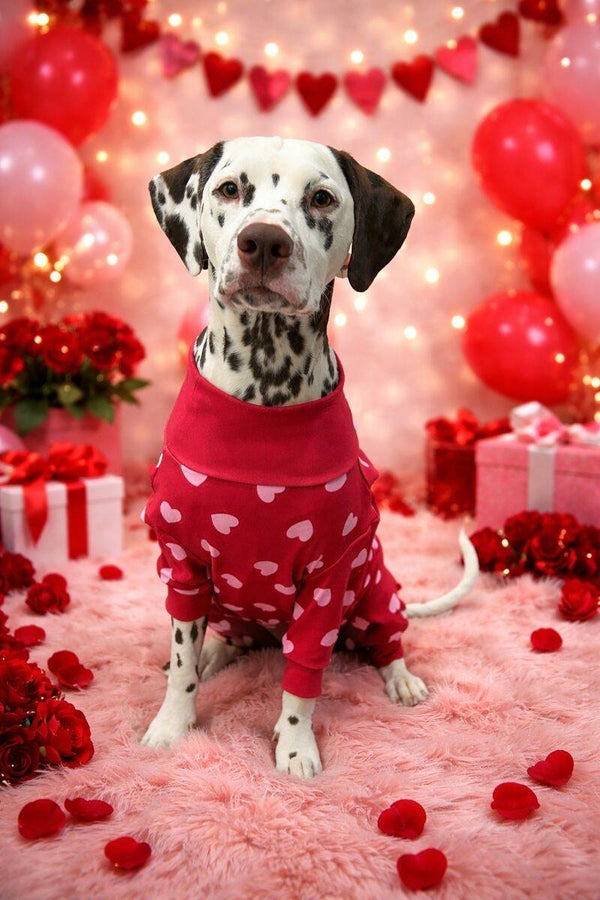 Spark Paws official pyjama - Rood / Roze hartjes