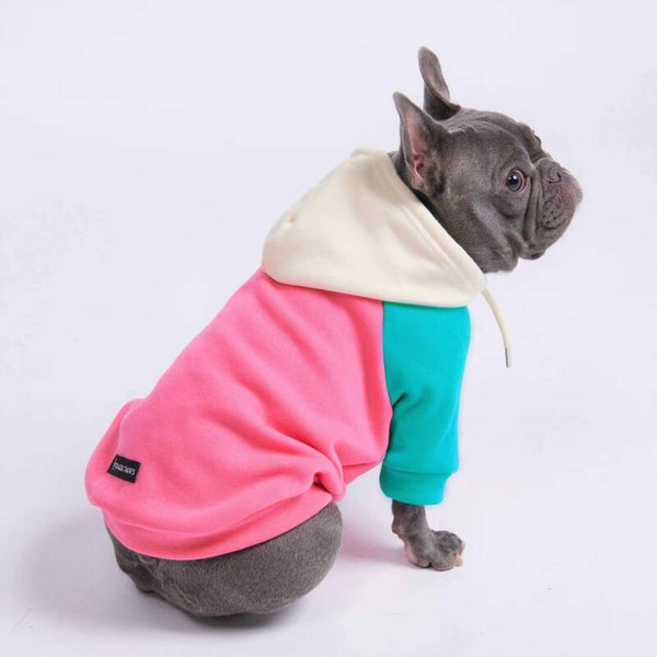 Pink Turquoise Cream Color Block Dog Hoodie