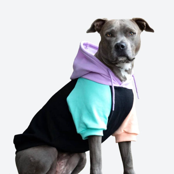 Cyber punk Dog Hoodie 3xl
