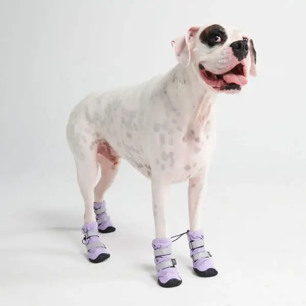 Flex Shell waterbestendige honden schoenen - Lila