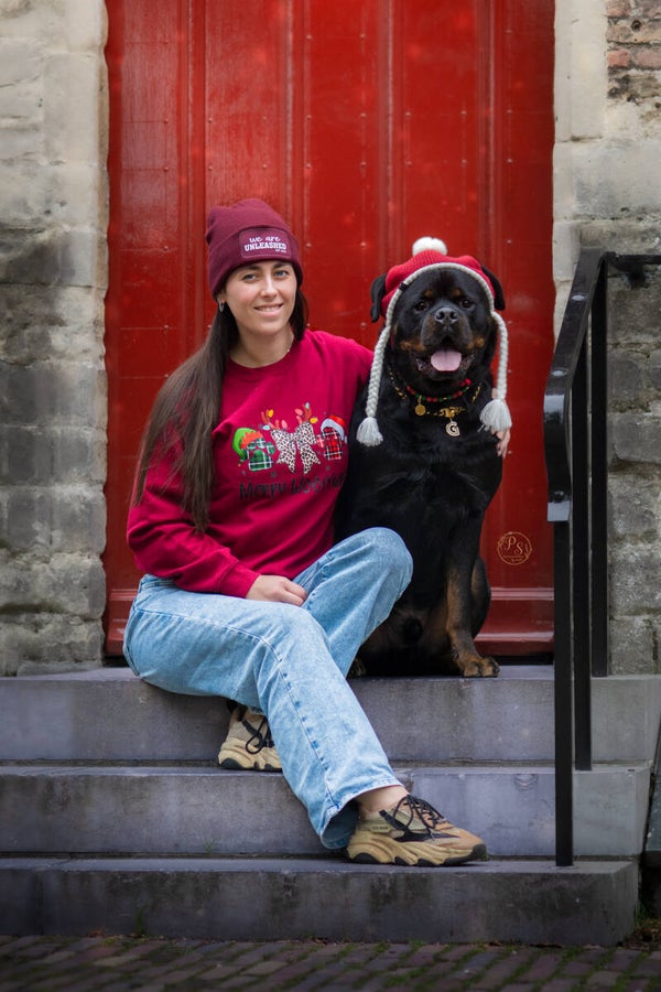 Merry woofmas sweater of hoodie