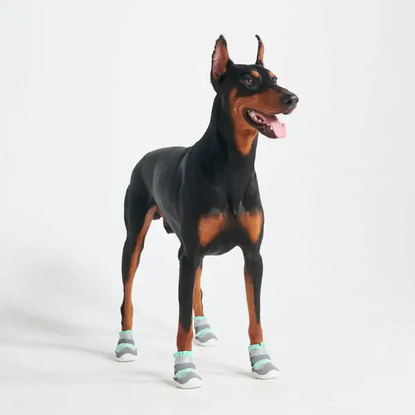 Hot Pavement Pawtector honden schoenen - Teal
