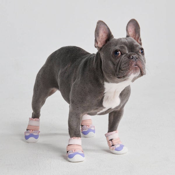 Hot pavement pawtector hondenschoenen pink purple