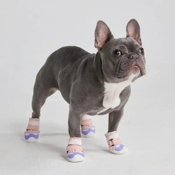 Hot Pavement Pawtector honden schoenen - Roze / Paars