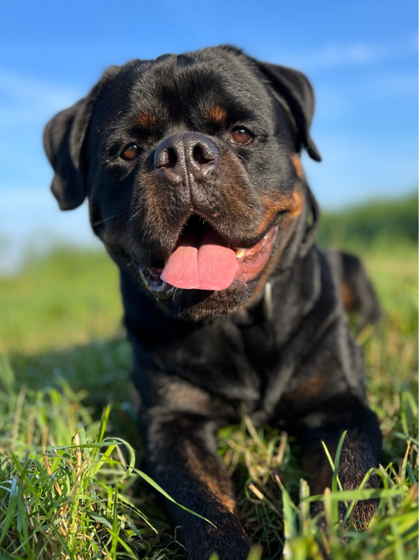 Gordo's Snacktation Box