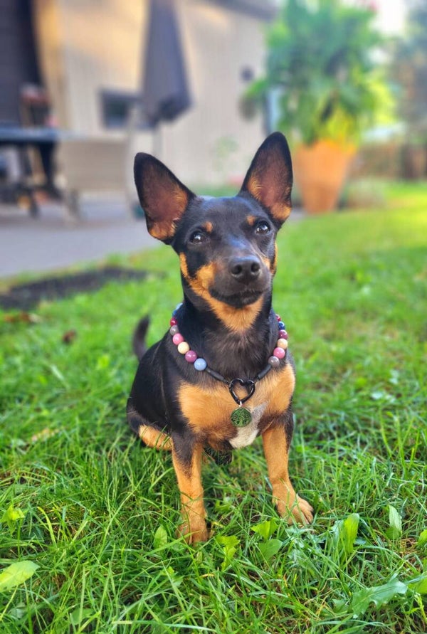 Gaia's Goddess Goodies Box