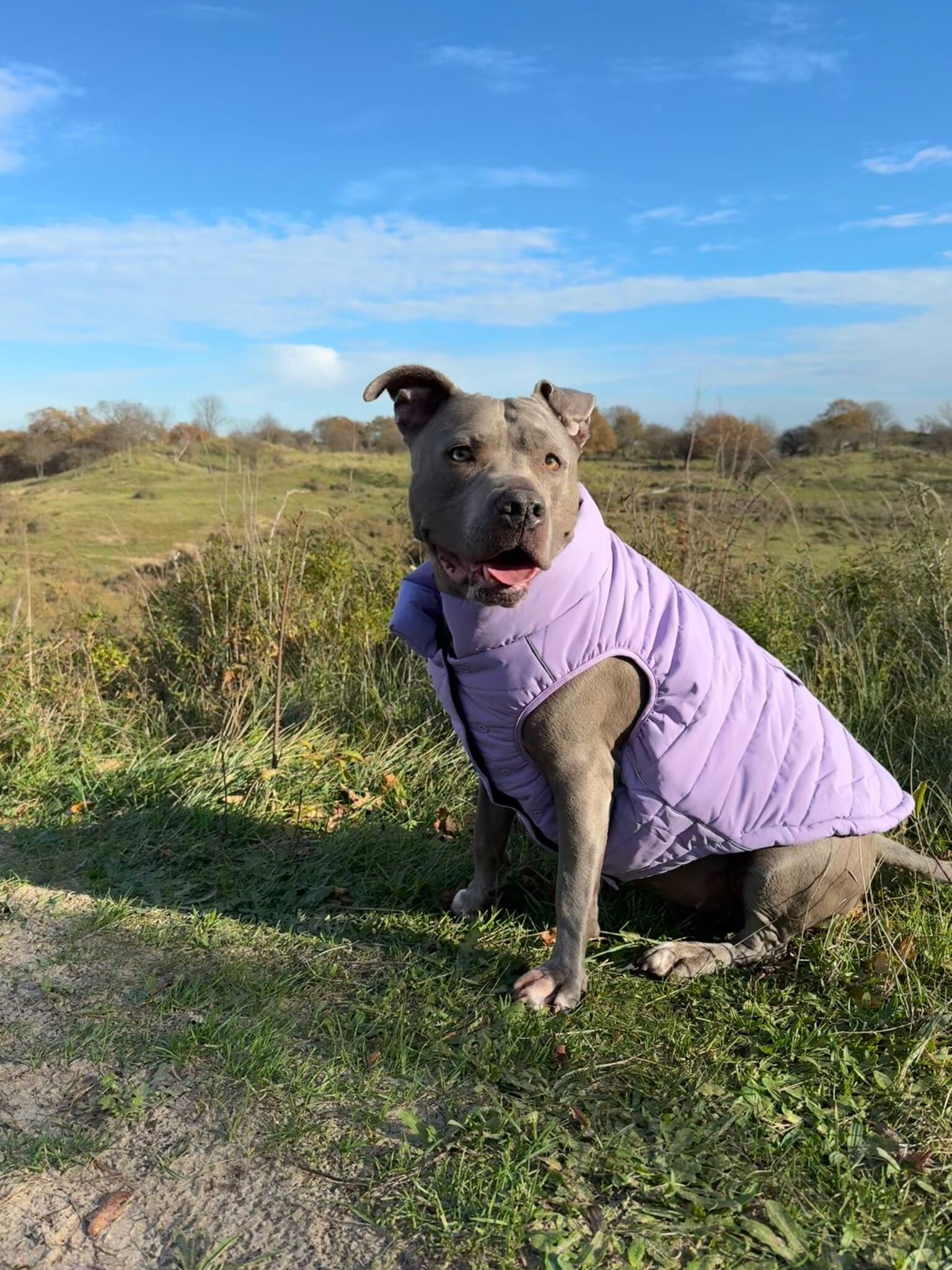 WarmShield waterbestendige jas - Lila