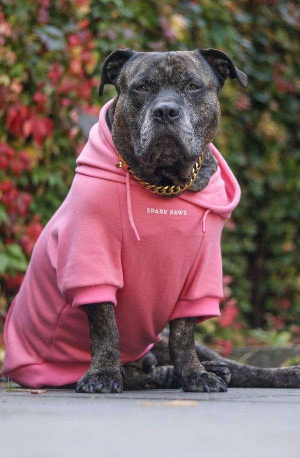 Essential Dog Hoodie - Poederroze