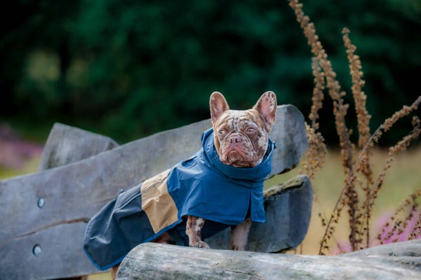 Breatheshield Raincoat - Blauw Goud Zwart