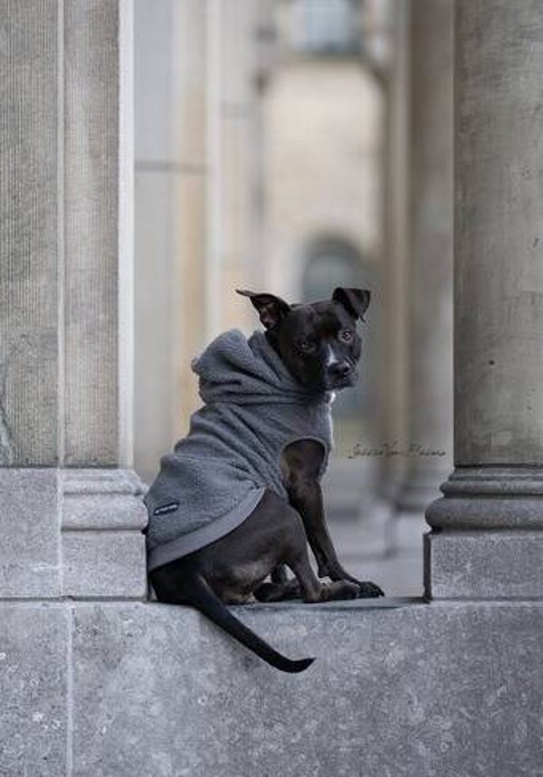 Premium Teddy jacket