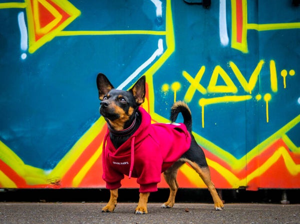 Sparkpaws Official essential burgendy hoodie