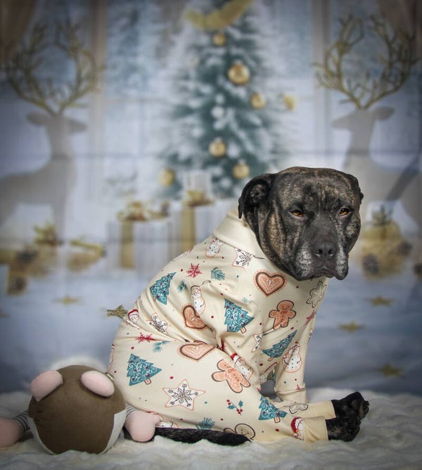 Kerst hondenpyjama - IJzige Nacht