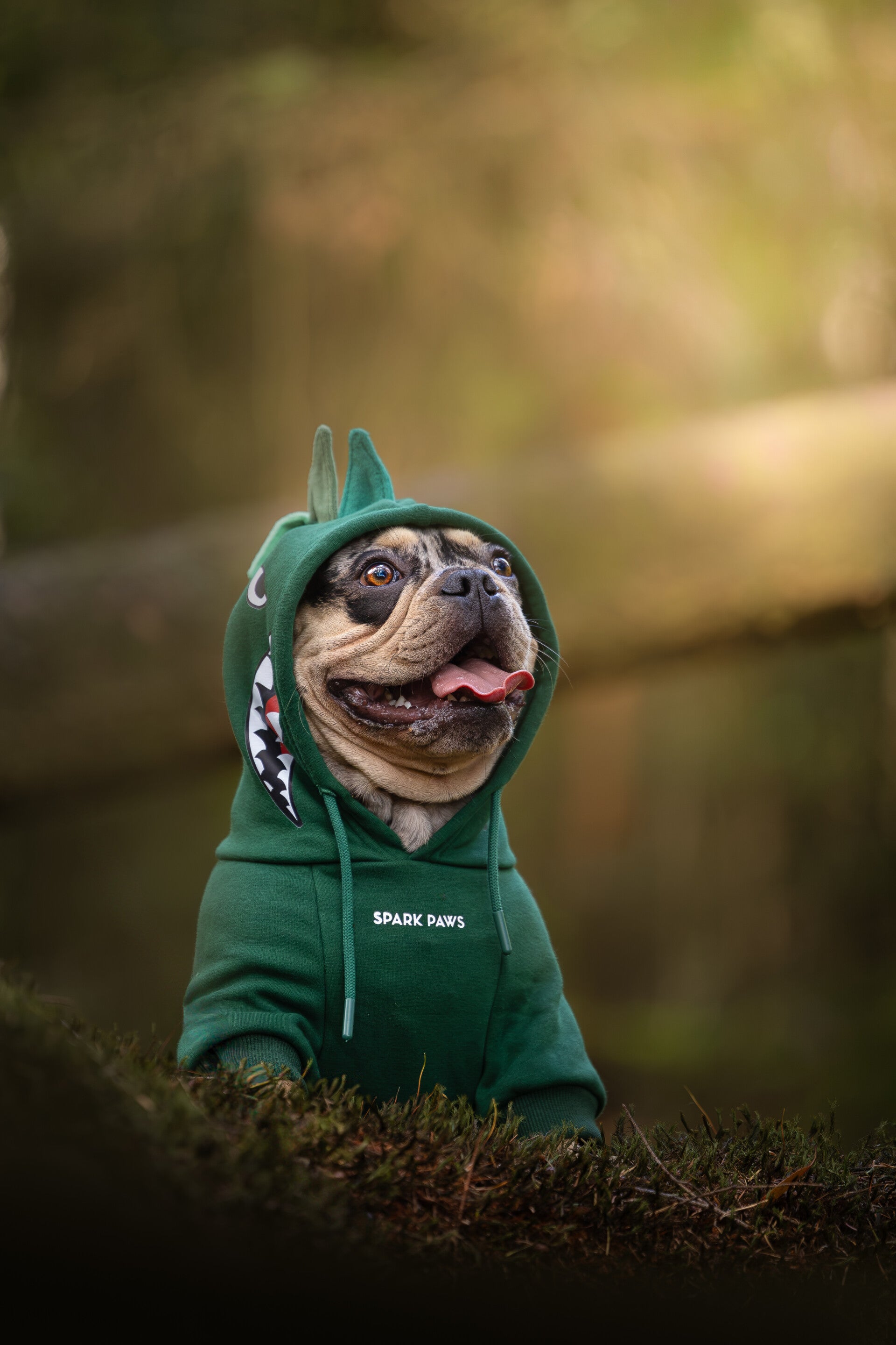 Halloween Honden Hoodie - Dinosaurus