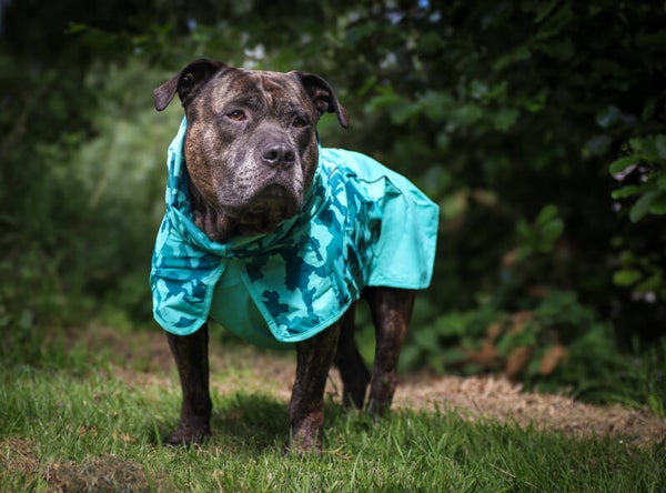 Breatheshield™ Hondenregenjas - Camo Teal