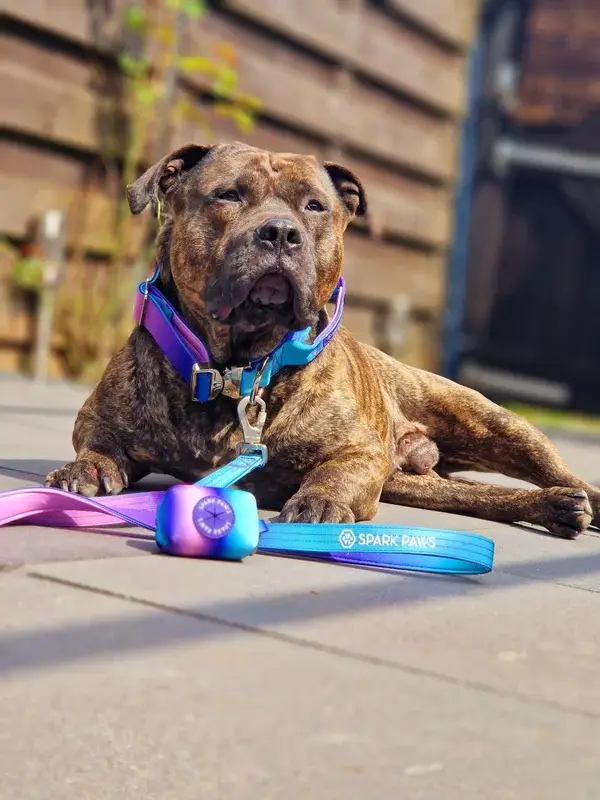 Tactical halsband set - Retro 90'