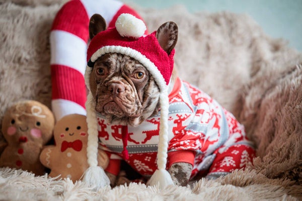 Winterwonderland pyjama