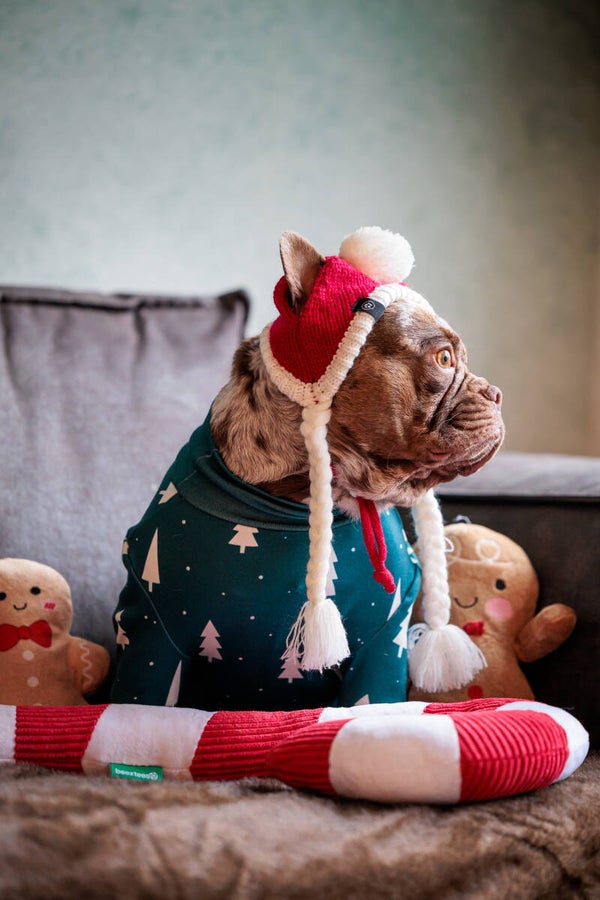 Kerst hondenpyjama - IJzige Dennen