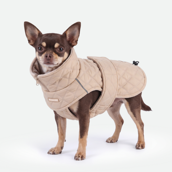 Gewatteerde klassieke winterjas - Beige