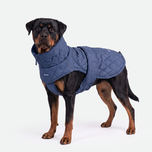 Gewatteerde klassieke winterjas - Blauw