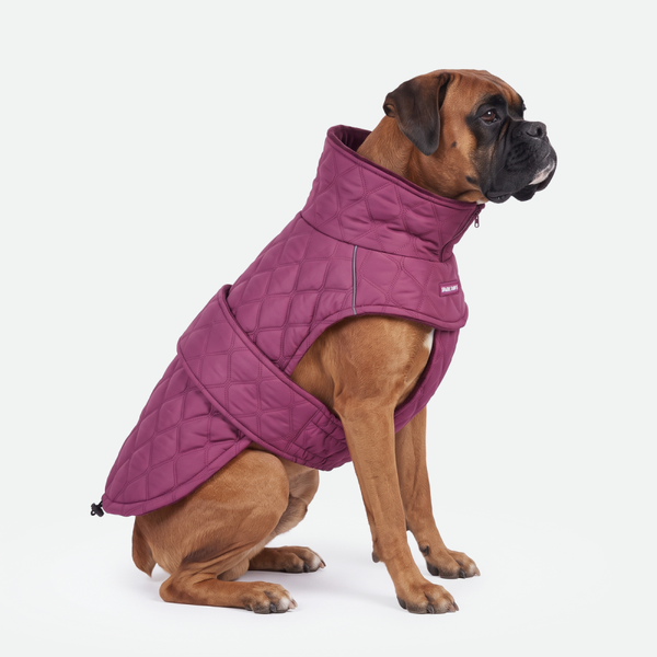 Gewatteerde klassieke winterjas - Magenta