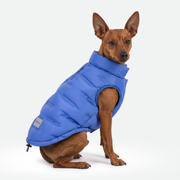 ThermoSonic Gewatteerde Hondenjas - Blauw