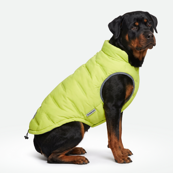 ThermoSonic Gewatteerde Jas - Neon