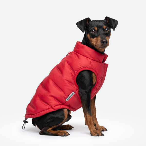 ThermoSonic Gewatteerde Hondenjas - Rood