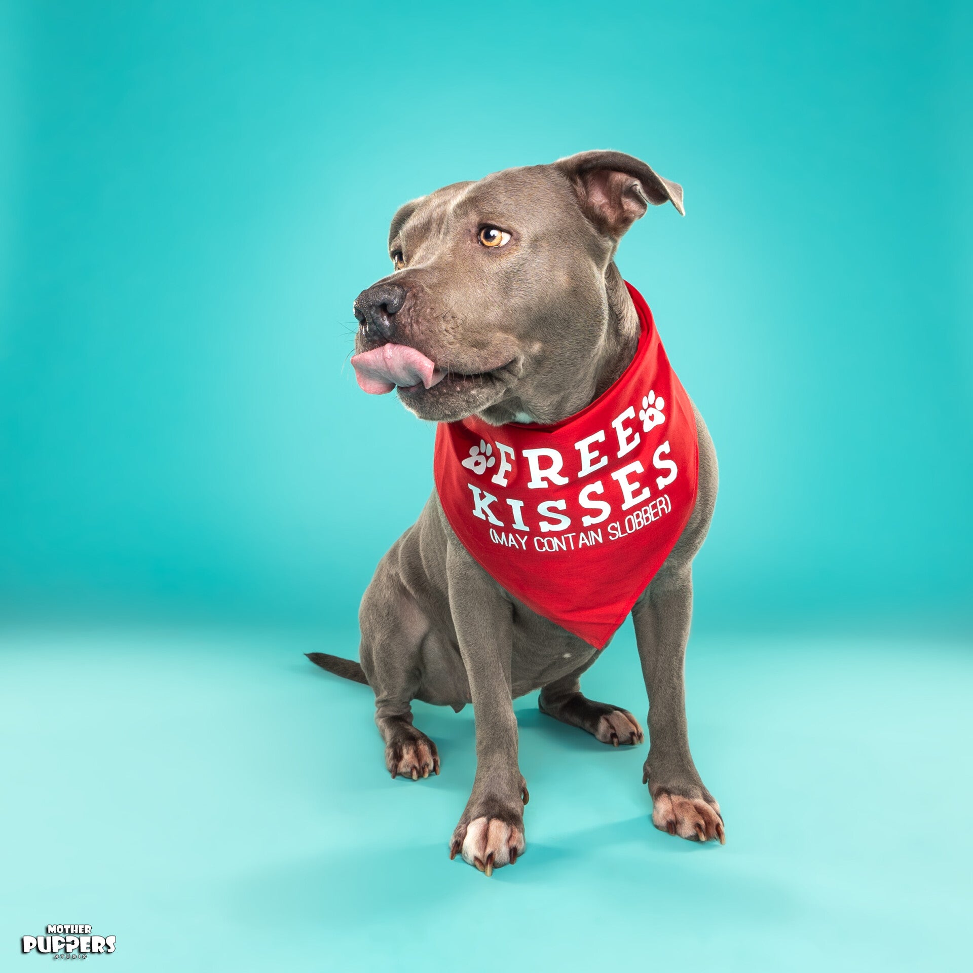 Free kisses bandana