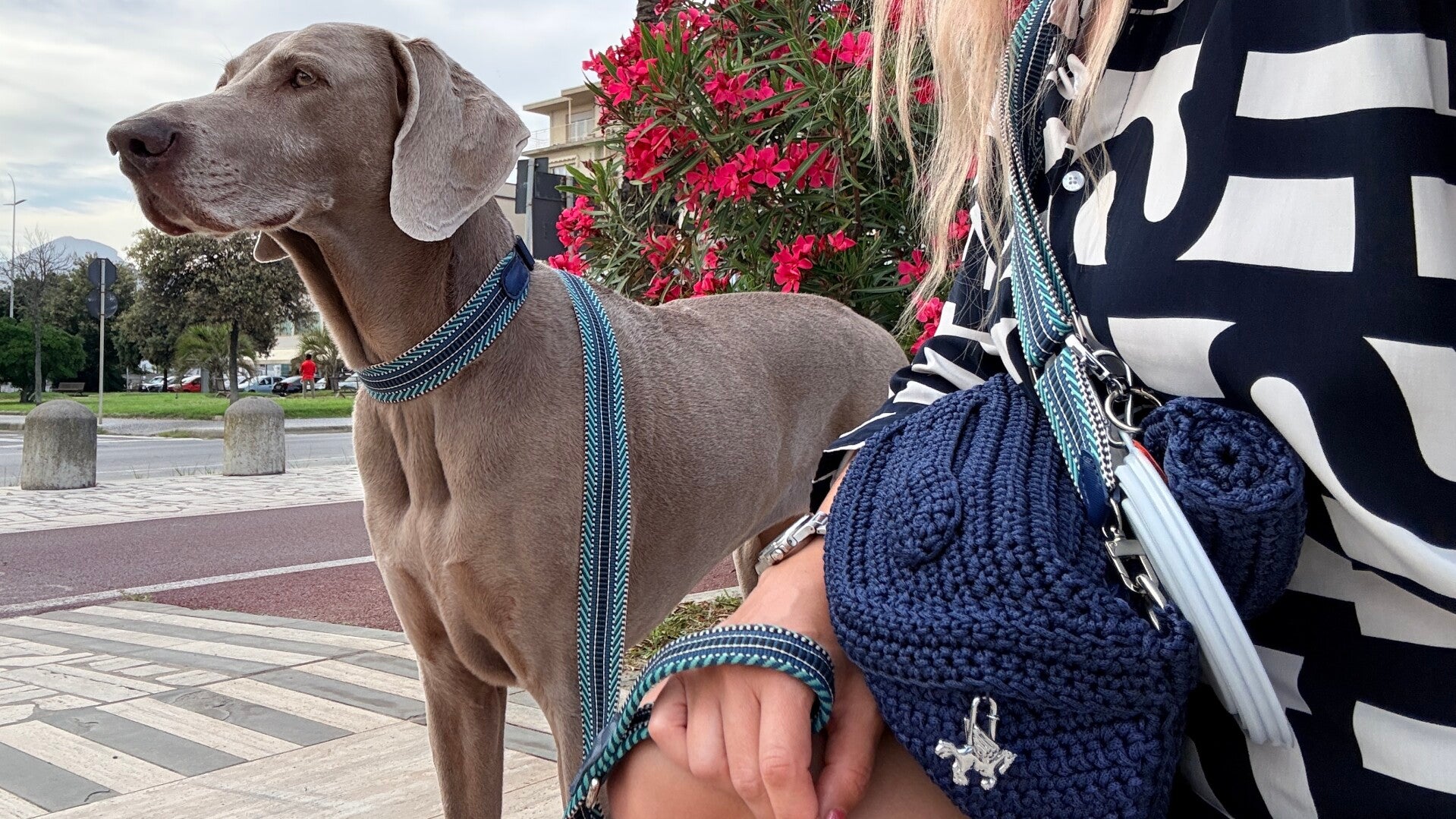 Travel to Italy with dog wear matching accessories