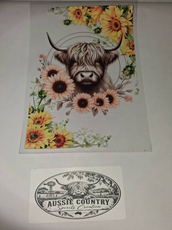 Cow #3