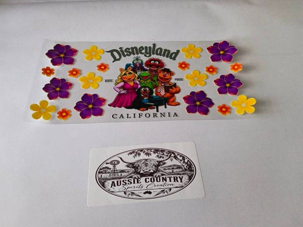 disneyland- #2