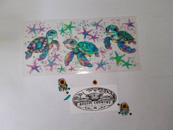 Turtle #8 🐢