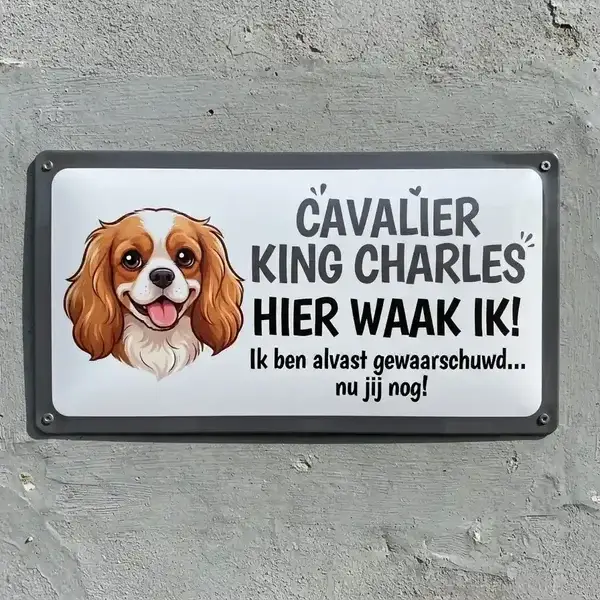 Cavalier King Charles -  7 desingns