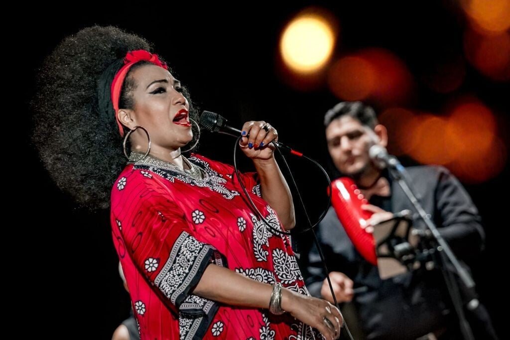 Image courtesy of Aymée Nuviola