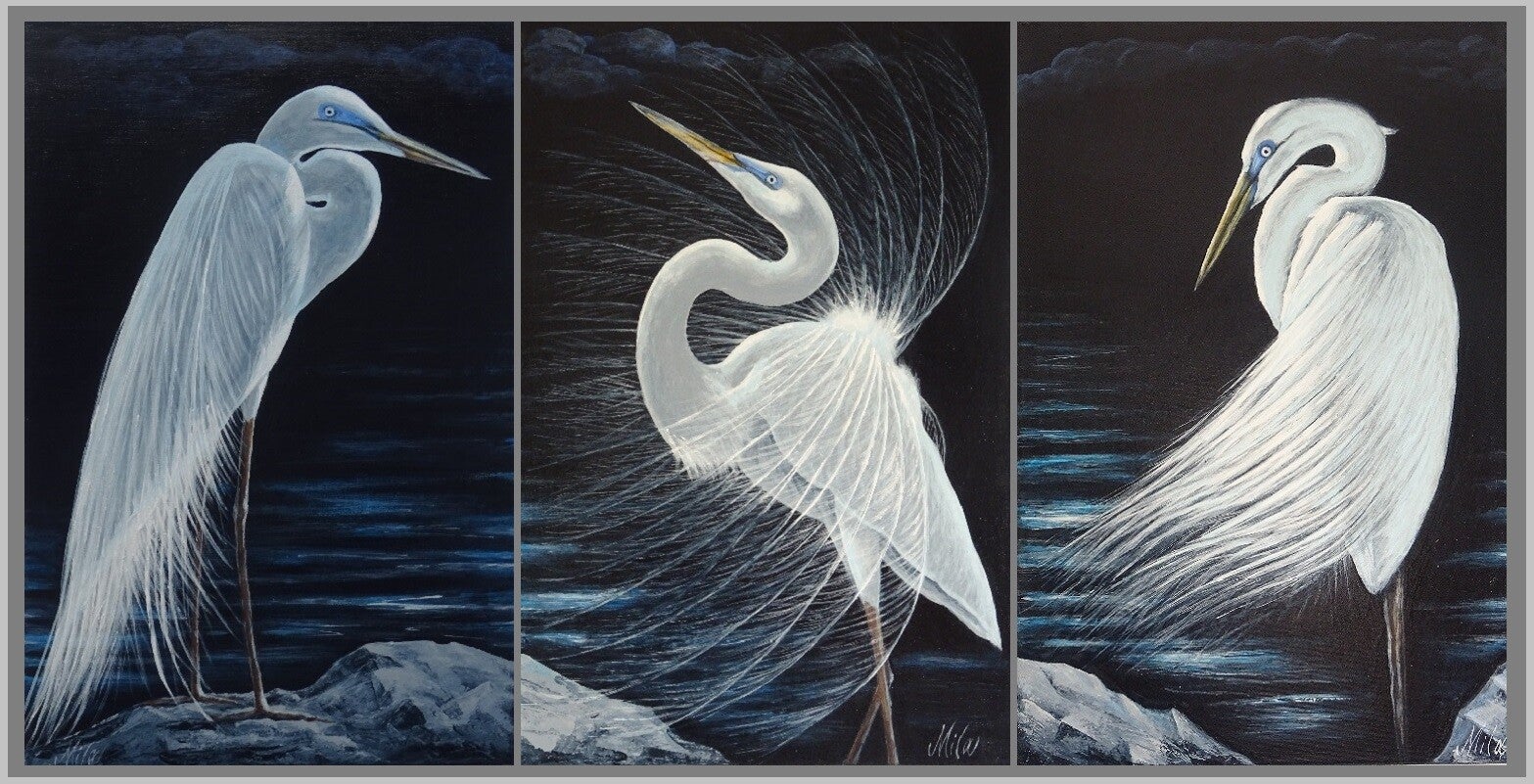A triptych of 3 white herons on the edge of a lake