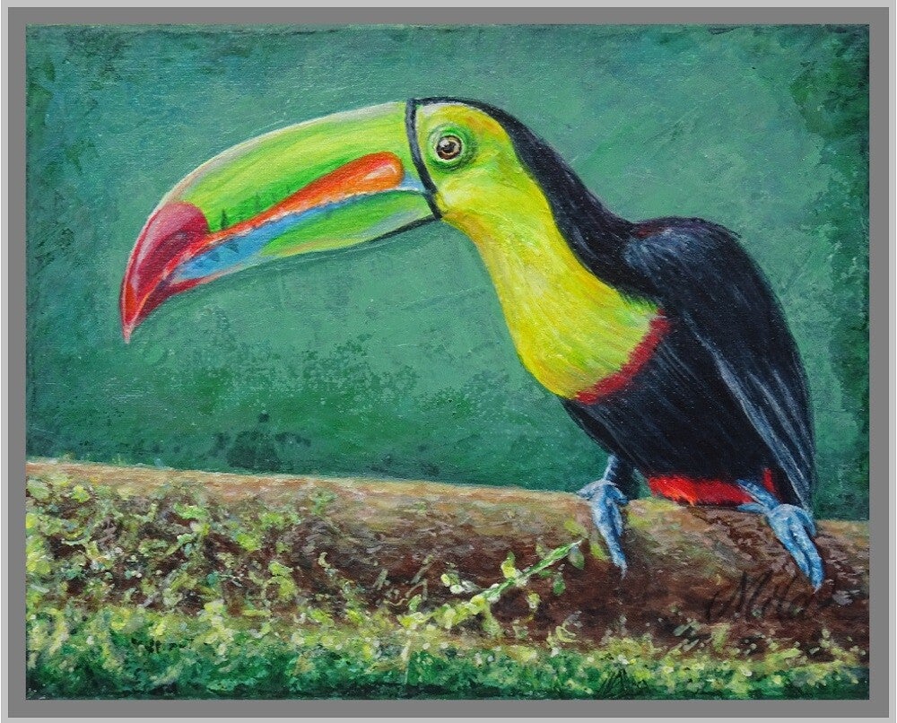 A Toucan