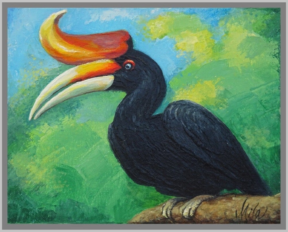 A Toucan (Hornbill)