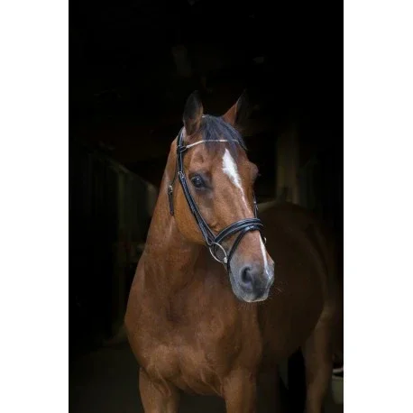 Eric Thomas - Bridon "Strass"