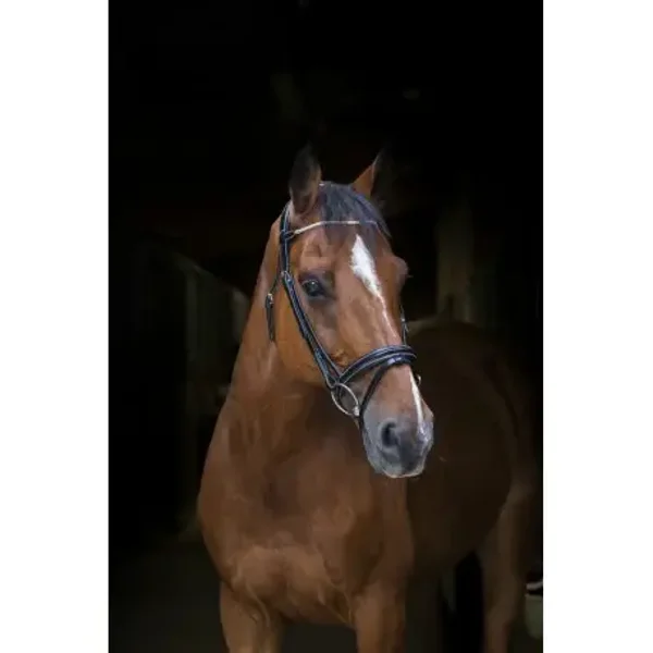 Eric Thomas - Bridon "Strass"