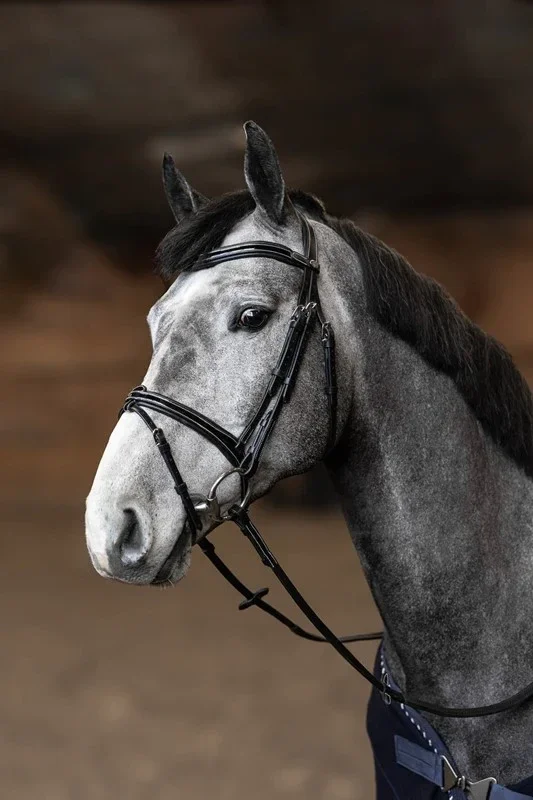 HFI - Bridon combiné "Painted"