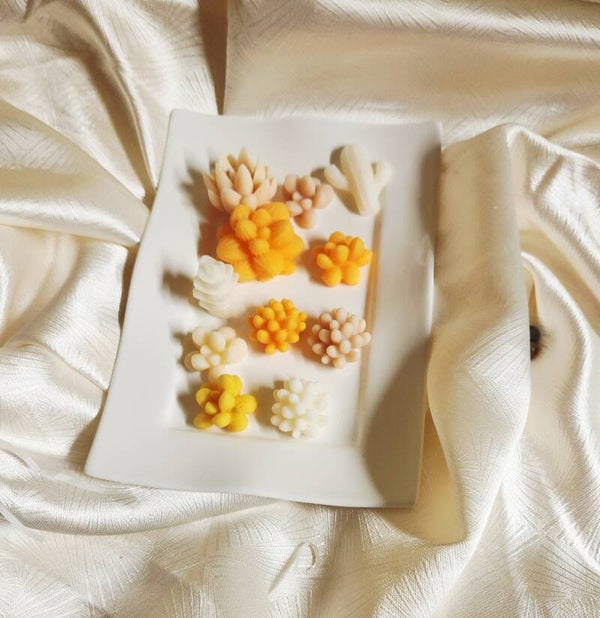 Galets de cire "Trompe-l'œil Succulentes