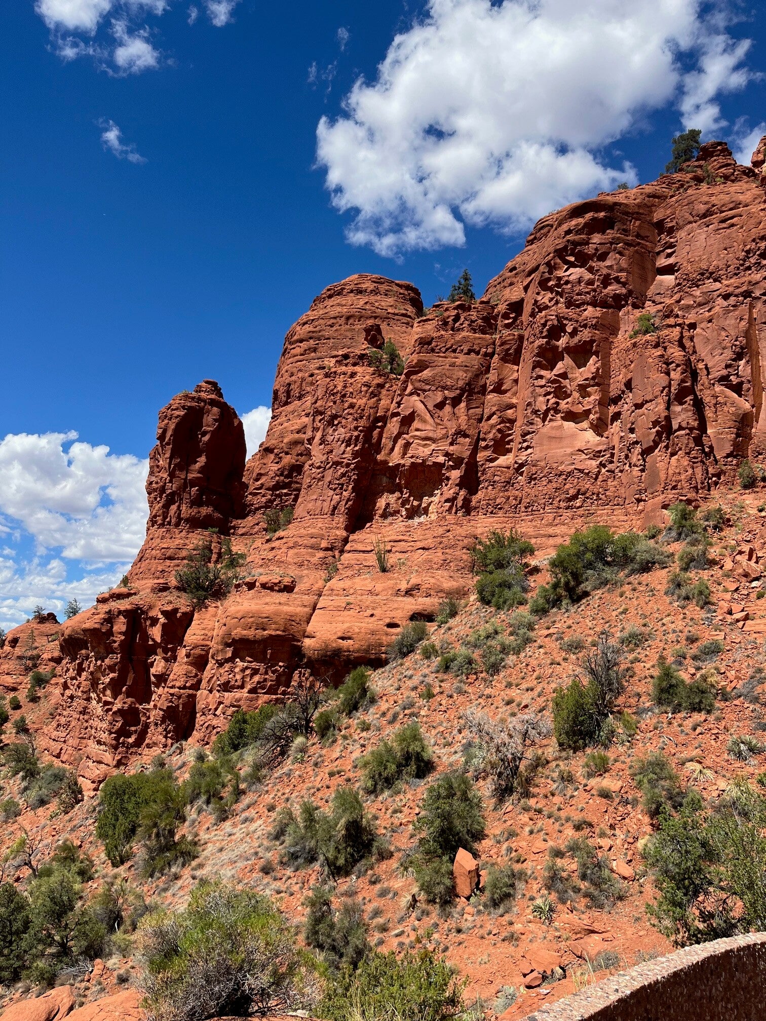 alt="Paysage de Sedona en Arizona avec ses célèbres rochers rouges"