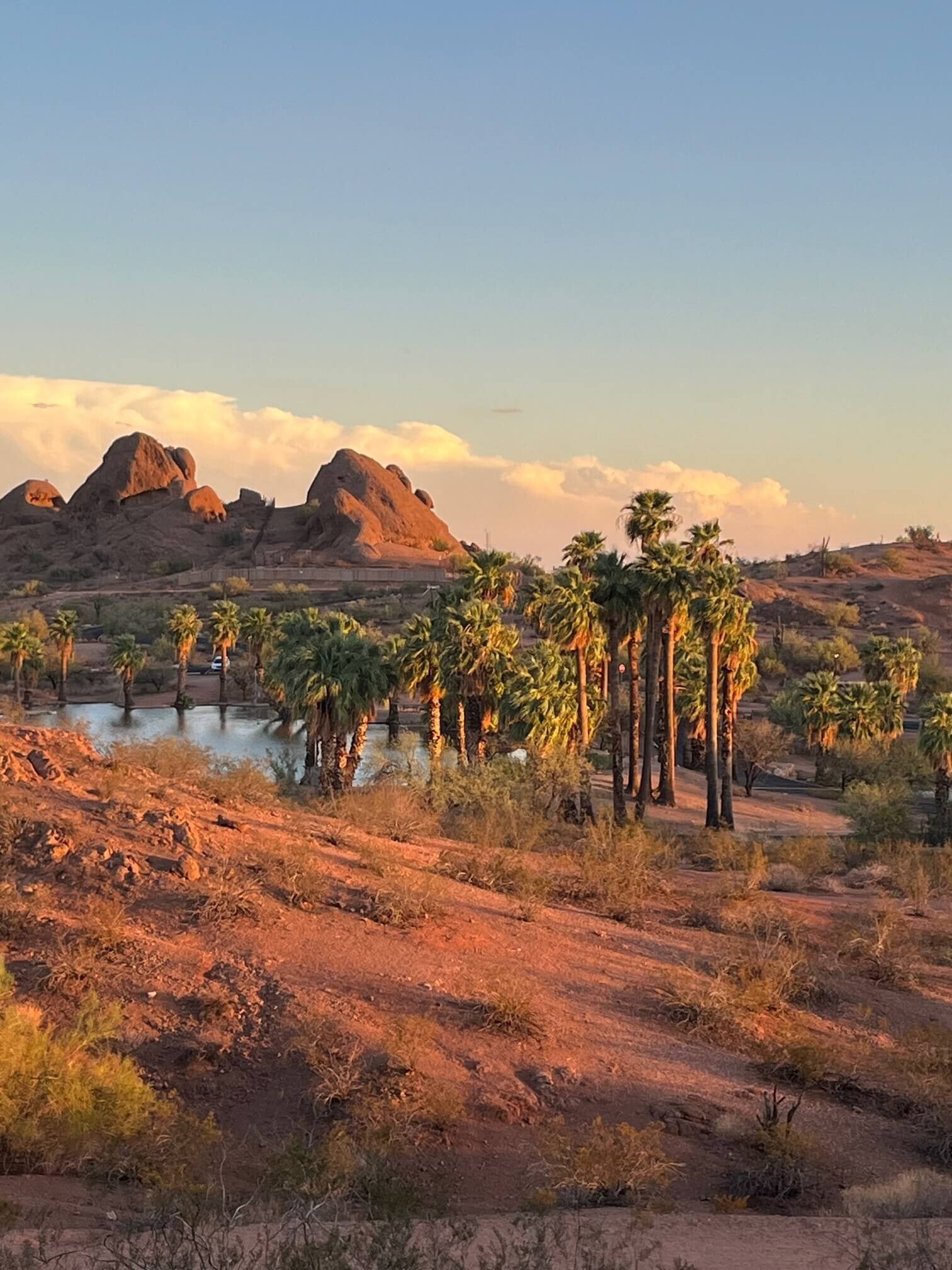 Formations rocheuses rouges et palmiers au coucher du soleil à Papago Park, Phoenix, Arizona