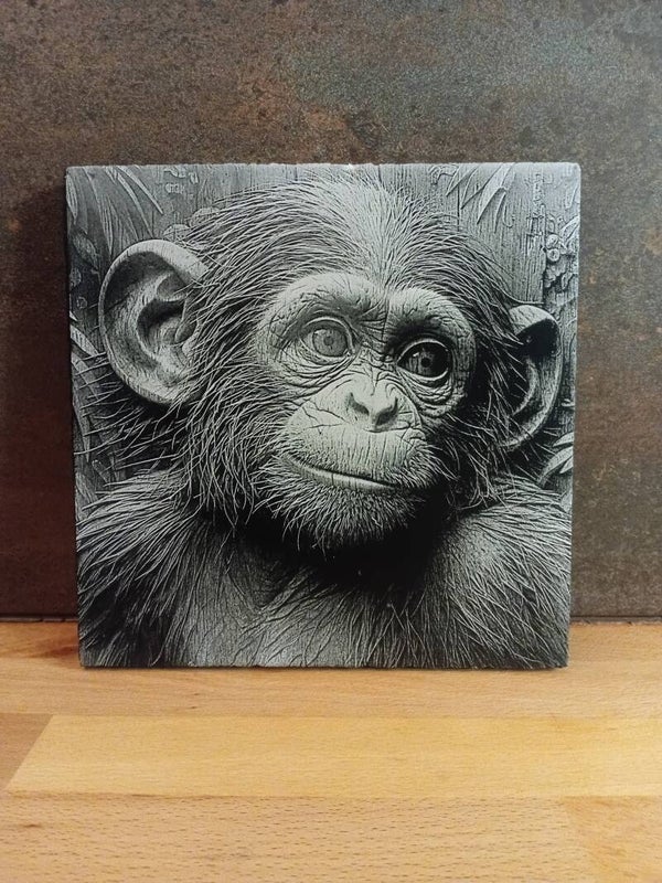 Pitty singe
