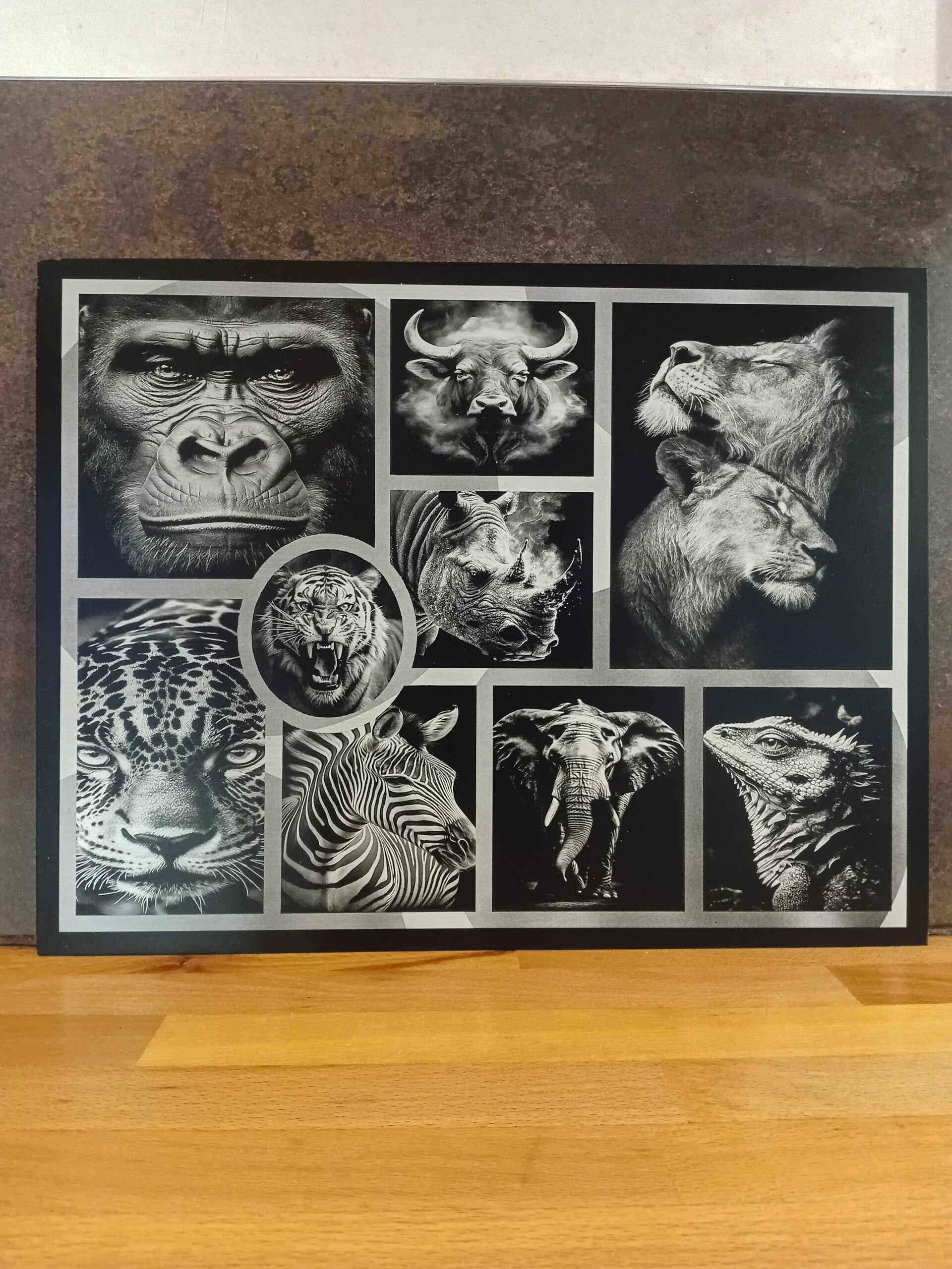 Animaux savane